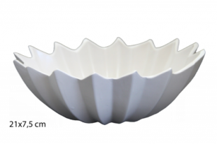 2513000006081.png