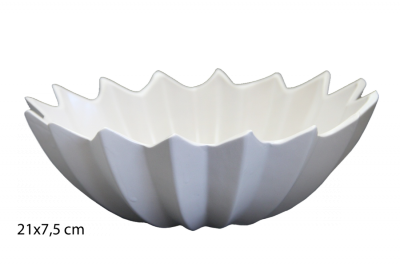 2513000006081.png