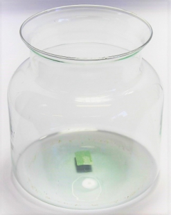 2520000020269_1.JPG