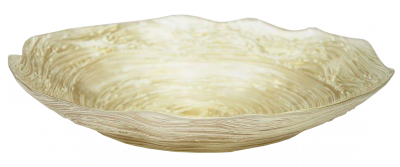 2520000021877_1.png
