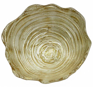 2520000021884_1.png