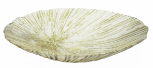 2520000021921_1.png