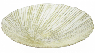 2520000021938_1.png