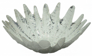 2520000021976_1.png