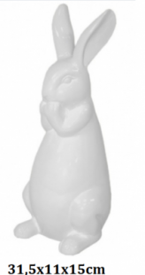 5902663118830.png