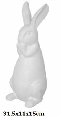 5902663118830.png