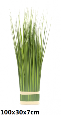 5902663126552_1.png