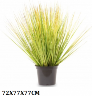 5902663151981.png
