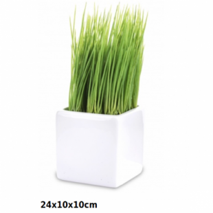 5902663213214_1.png