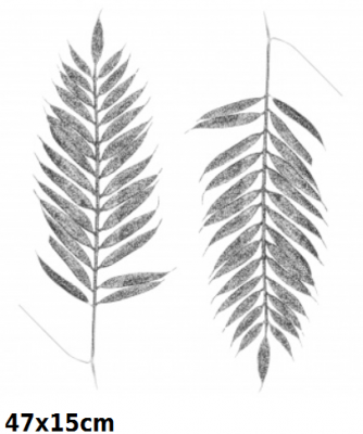 5902663232871_1.png