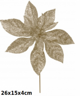 5902663251537.png