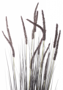 5902663328772_1.png