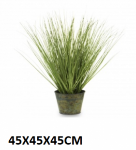 5902663372072.png