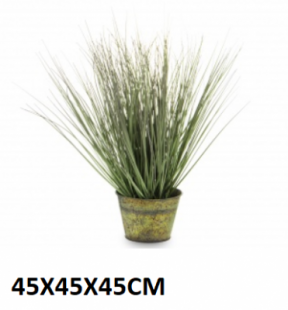 5902663372089.png