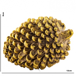 5902663474882_1.jpg