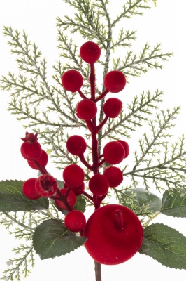 5902663584604_1.jpg