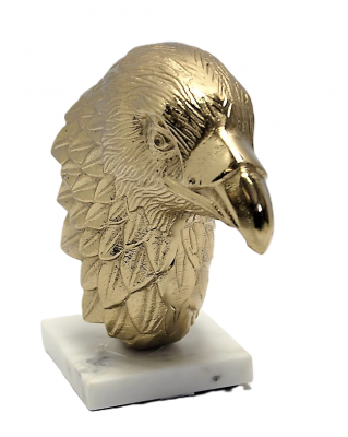 5905475300561_1.png