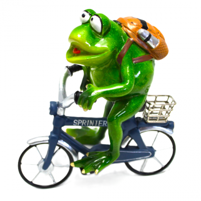 5905806707427_1.png