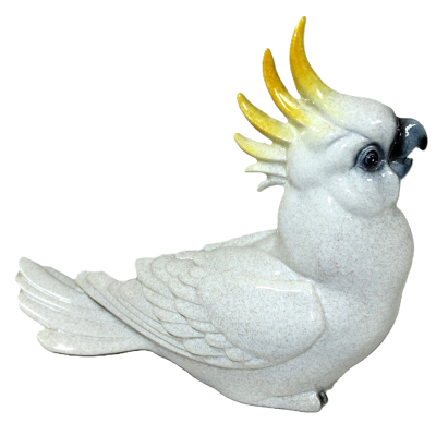 5905806721324_1.png