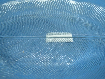 5906764464063_1.JPG
